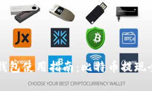 雷达钱包使用指南：比特币提现全解析