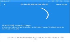  MATIC转钱包的完整指南：快速、安全的加密货币