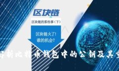 全面解析比特币钱包中的公钥及其重要性