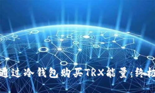 如何通过冷钱包购买TRX能量：终极指南