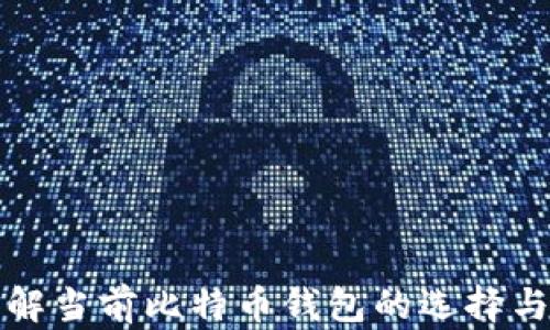 
深入了解当前比特币钱包的选择与安全性