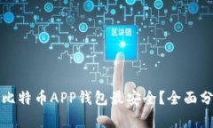 哪个币安比特币APP钱包最安全？全面分析与推荐