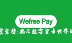 比特币钱包富豪榜：揭示数字货币世界的巨头与