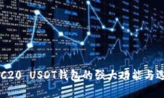 支持ERC20 USDT钱包的强大功能与选择指南