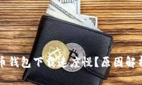 为什么比特币钱包下载速度慢？原因解析与解决方案