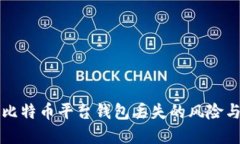 如何应对比特币平台钱包丢失的风险与解决方法