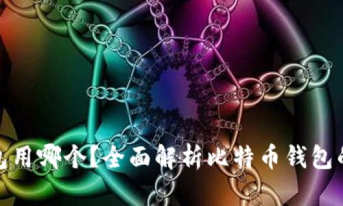 存放比特币钱包用哪个？全面解析比特币钱包的选择与安全性