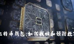 男子丢失比特币钱包：如何找回和预防数字资产