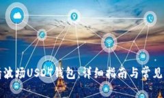 如何申请波场USDT钱包：详细指南与常见问题解析