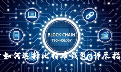 大陆用户如何选择比特币钱包：详尽指南与推荐