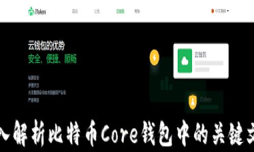 
深入解析比特币Core钱包中的关键文件