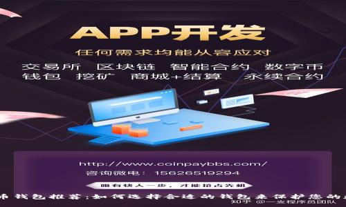 USDT提币钱包推荐：如何选择合适的钱包来保护您的数字资产