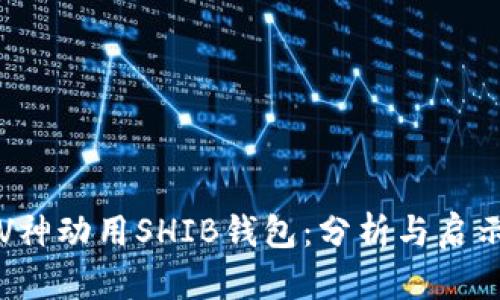 V神动用SHIB钱包：分析与启示