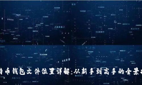比特币钱包文件位置详解：从新手到高手的全景指南