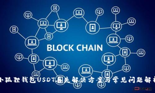 小狐狸钱包USDT丢失解决方案与常见问题解析