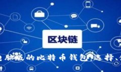 深入探讨电脑版的比特币钱包：选择、使用与安