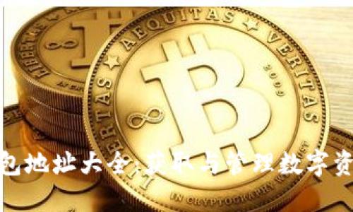 : 以太坊链钱包地址大全：获取与管理数字资产的全面指南
