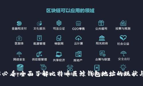 2025必看：全面了解比特币巨鲸钱包地址的现状与动向