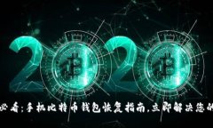 2025必看：手机比特币钱包恢复指南，立即解决您