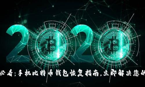 2025必看：手机比特币钱包恢复指南，立即解决您的困扰！