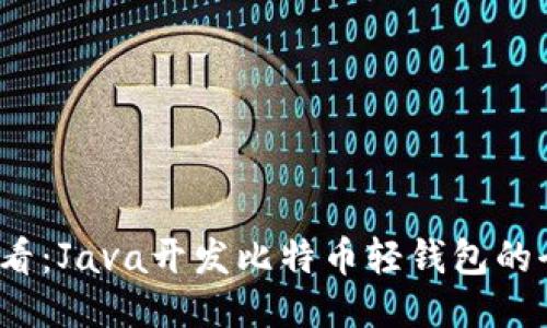 2025必看：Java开发比特币轻钱包的全面指南