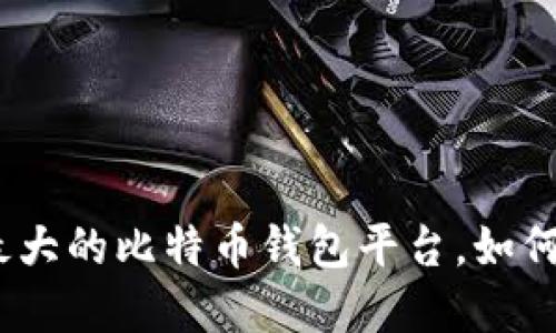 2025必看：揭秘最大的比特币钱包平台，如何选择最适合你的！