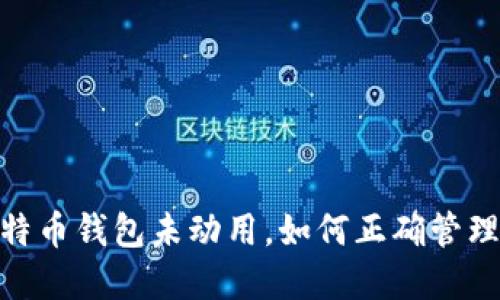 2025必看：比特币钱包未动用，如何正确管理你的数字资产