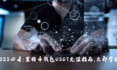 2025必看：莱特币钱包USDT充值指南，立即掌握！