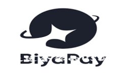 2025必看！如何选择最适合你的USDT数字钱包？立即