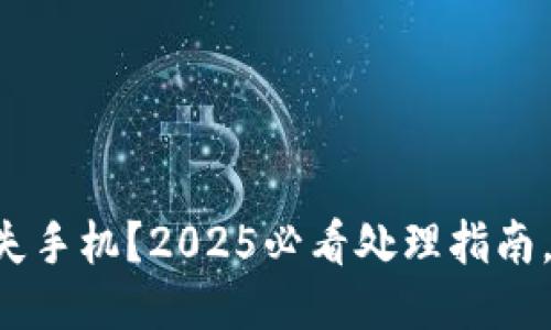 比特币钱包遗失手机？2025必看处理指南，立即采取行动！