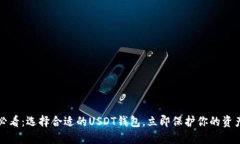 2025必看：选择合适的USDT钱包，立即保护你的资产