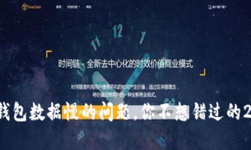 立即解决：狗狗币钱包数据慢的问题，你不想错过的2025必看解决方案
