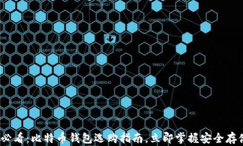 
2025必看：比特币钱包选购指南，立即掌握安全存储技巧