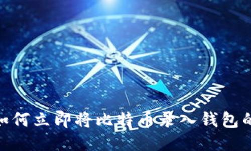 2025必看：如何立即将比特币录入钱包的方法与技巧