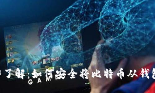 jieguo
    立即了解：如何安全将比特币从钱包中提取！