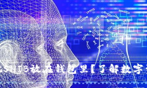 2023必看：为什么把SHIB放在钱包里？了解数字资产安全的最佳实践