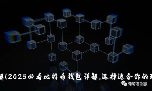 立即了解！2025必看比特币钱包详解，选择适合你的理想工具