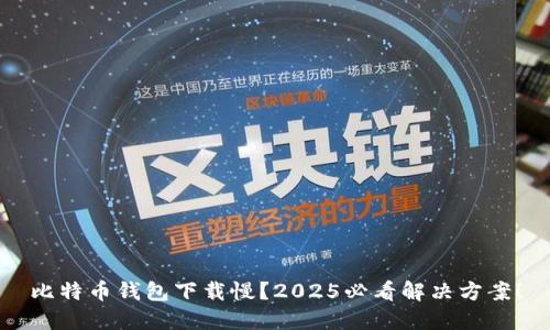 比特币钱包下载慢？2025必看解决方案！