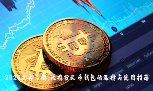 2024立即了解：比特分叉币钱包的选择与使用指南