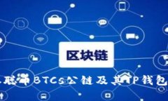 深入解析中本聪币BTCs公链及其TP钱包的全方位应